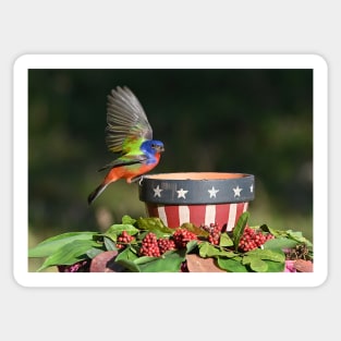 Painted Bunting Bird Saluting the American Flag Bowl Sticker